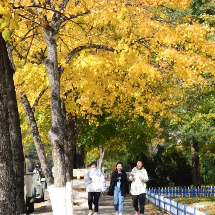 篮球训练法读后感怎么写_0